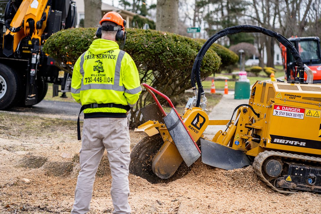 Commercial stump grinding — Central NJ — Pro-Stump Tree Service