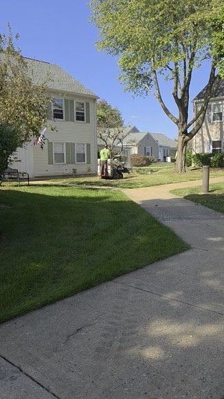 Commercial stump grinding — Central NJ — Pro-Stump Tree Service