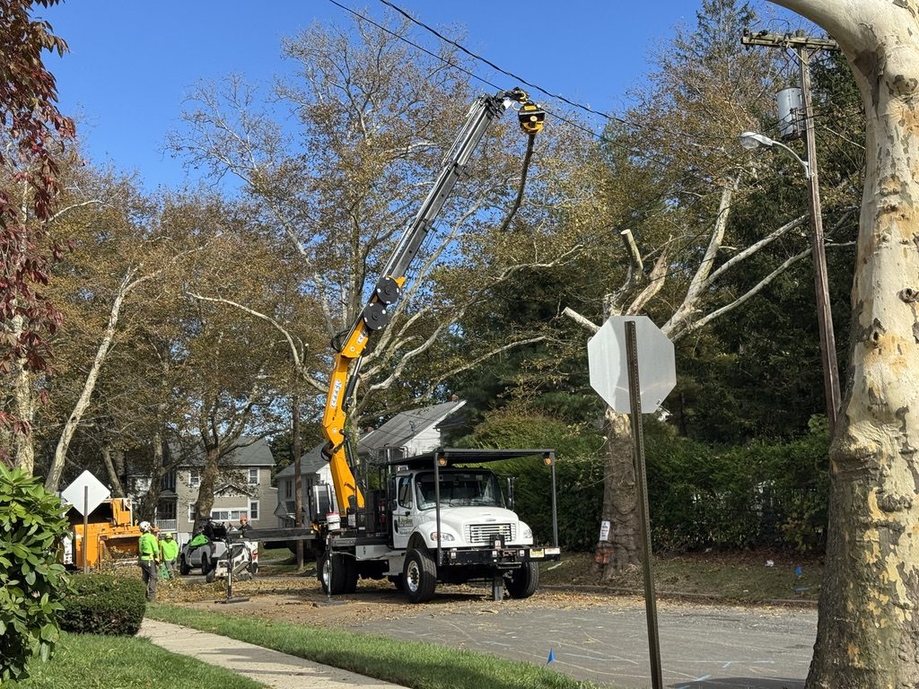 Terex Stinger crane truck — Pro-Stump Tree Service