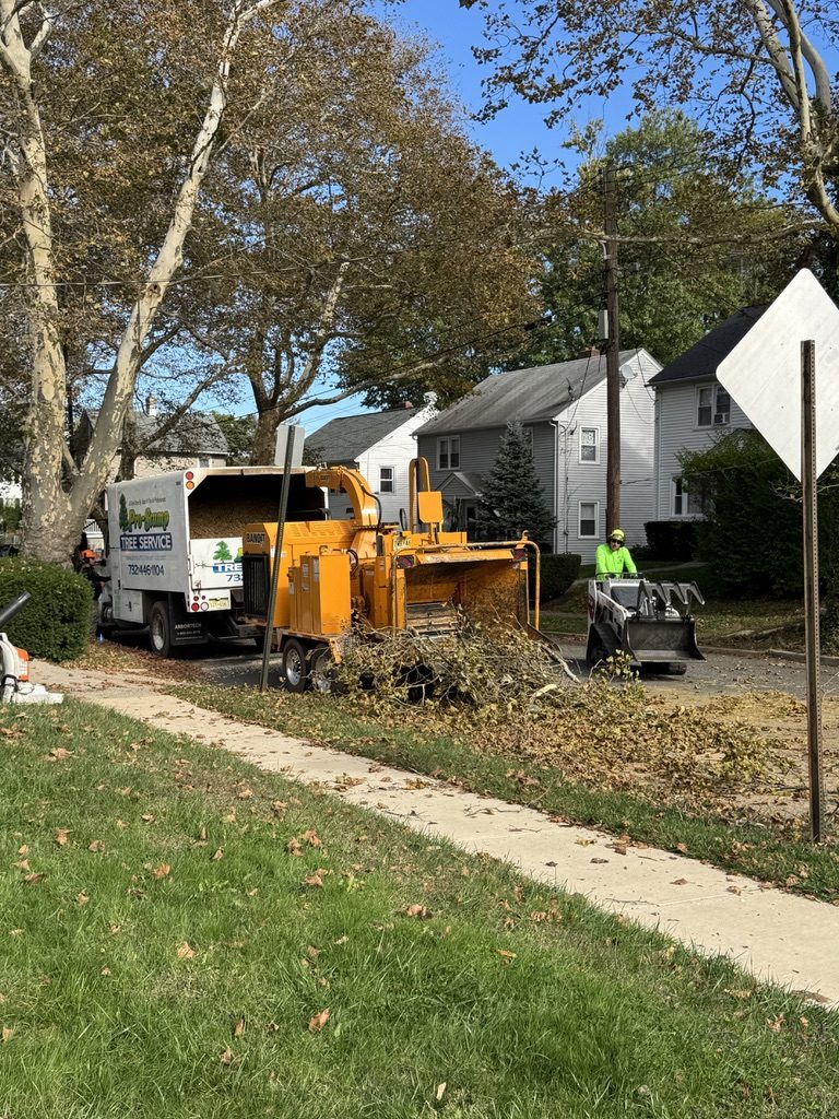 Terex Stinger crane truck — Pro-Stump Tree Service