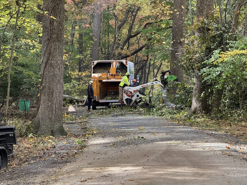 Heavy equipment staged for wooded lot clearing — Pro-Stump Tree Service