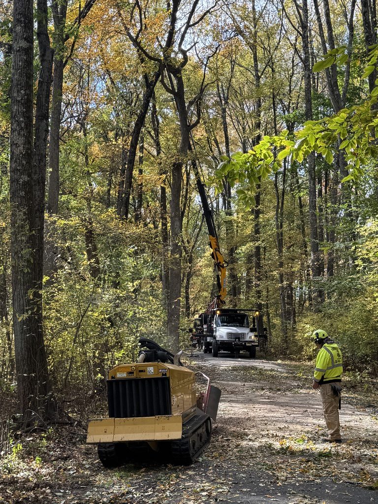 Heavy equipment staged for wooded lot clearing — Pro-Stump Tree Service