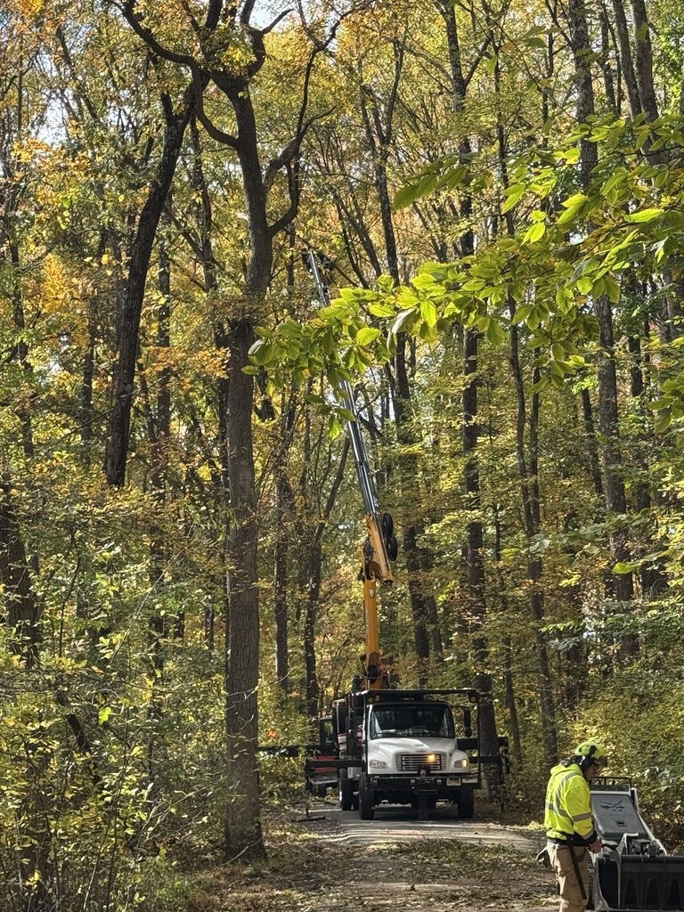 Heavy equipment staged for wooded lot clearing — Pro-Stump Tree Service