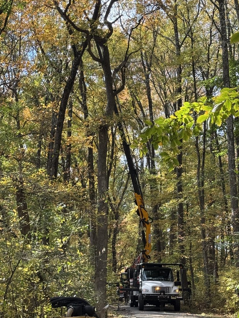 Heavy equipment staged for wooded lot clearing — Pro-Stump Tree Service