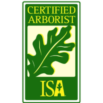 ISA Certified Arborist on staff at Pro-Stump Tree Service