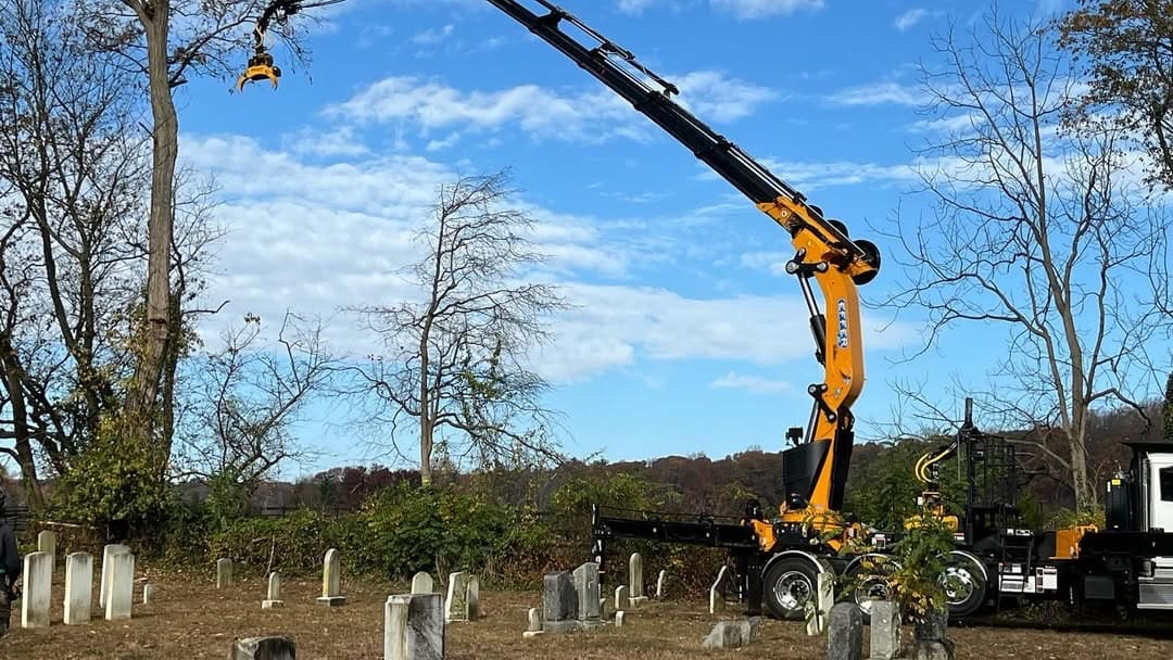 Crane tree removal in action — precision lift by Pro-Stump Tree Service
