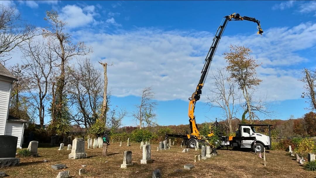 Crane tree removal by Pro-Stump Tree Service — 40-ton crane