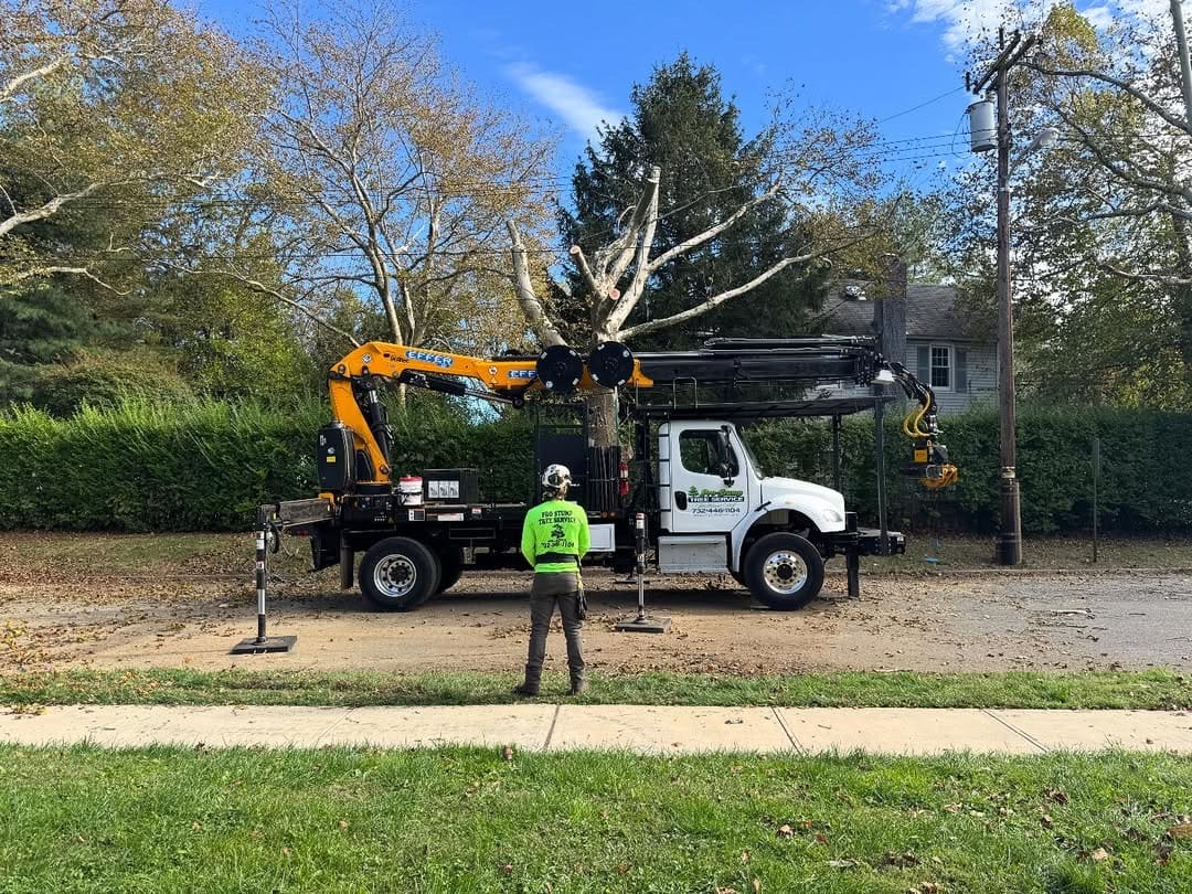 Storm-damaged tree removal in progress