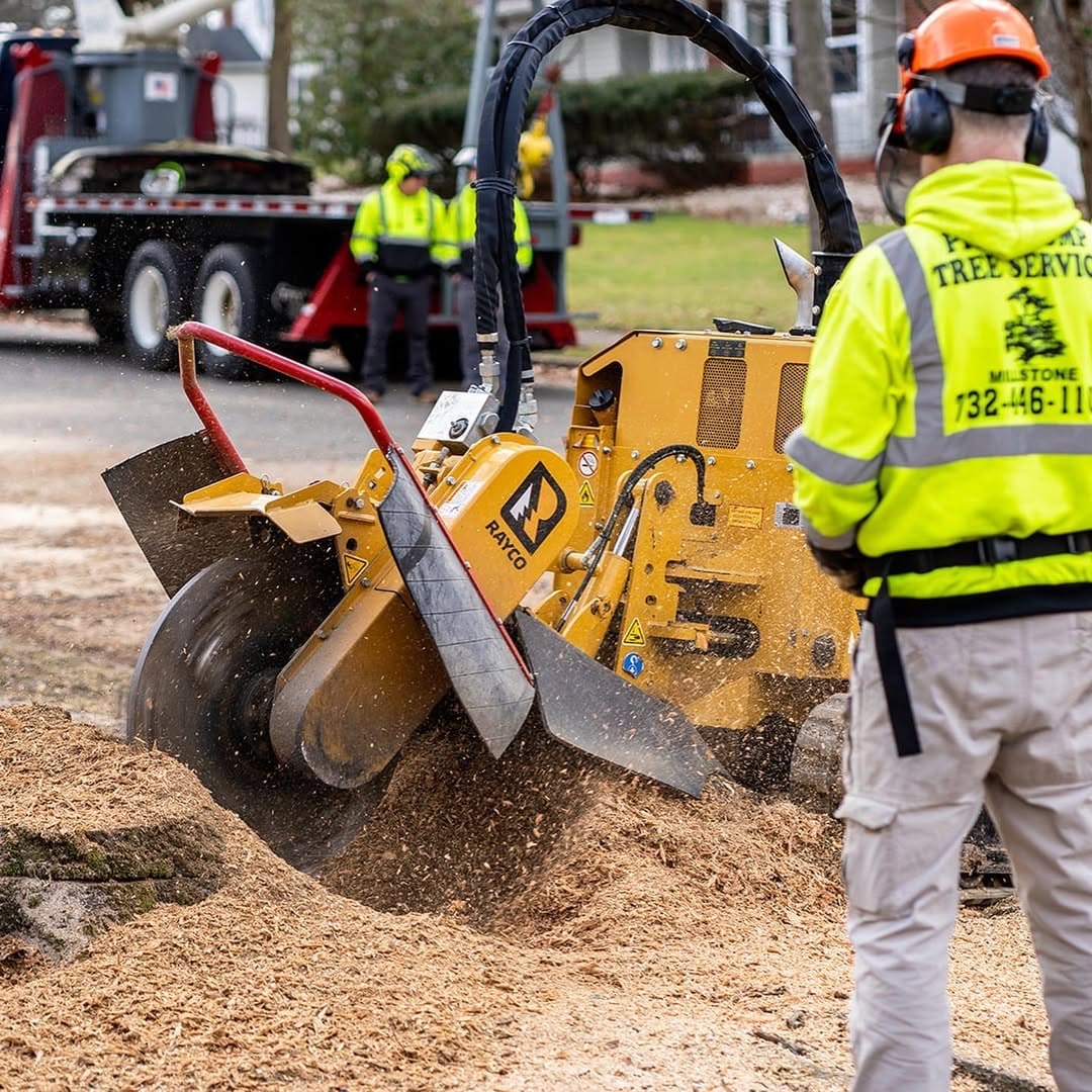 Stump grinder in action — Pro-Stump Tree Service