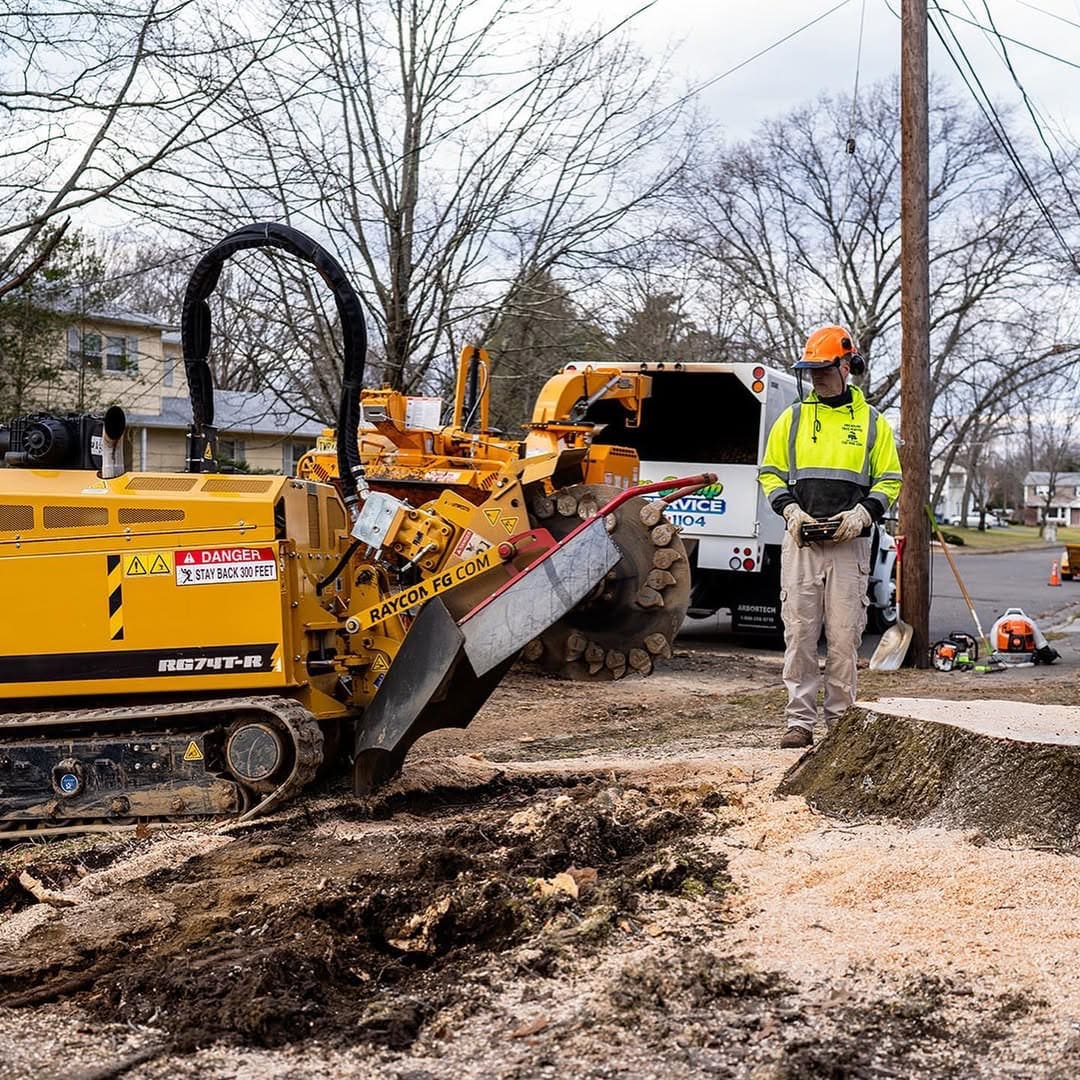Stump grinding by Pro-Stump Tree Service in Central NJ