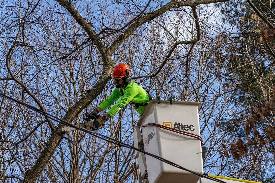 Structural tree pruning by Pro-Stump Tree Service