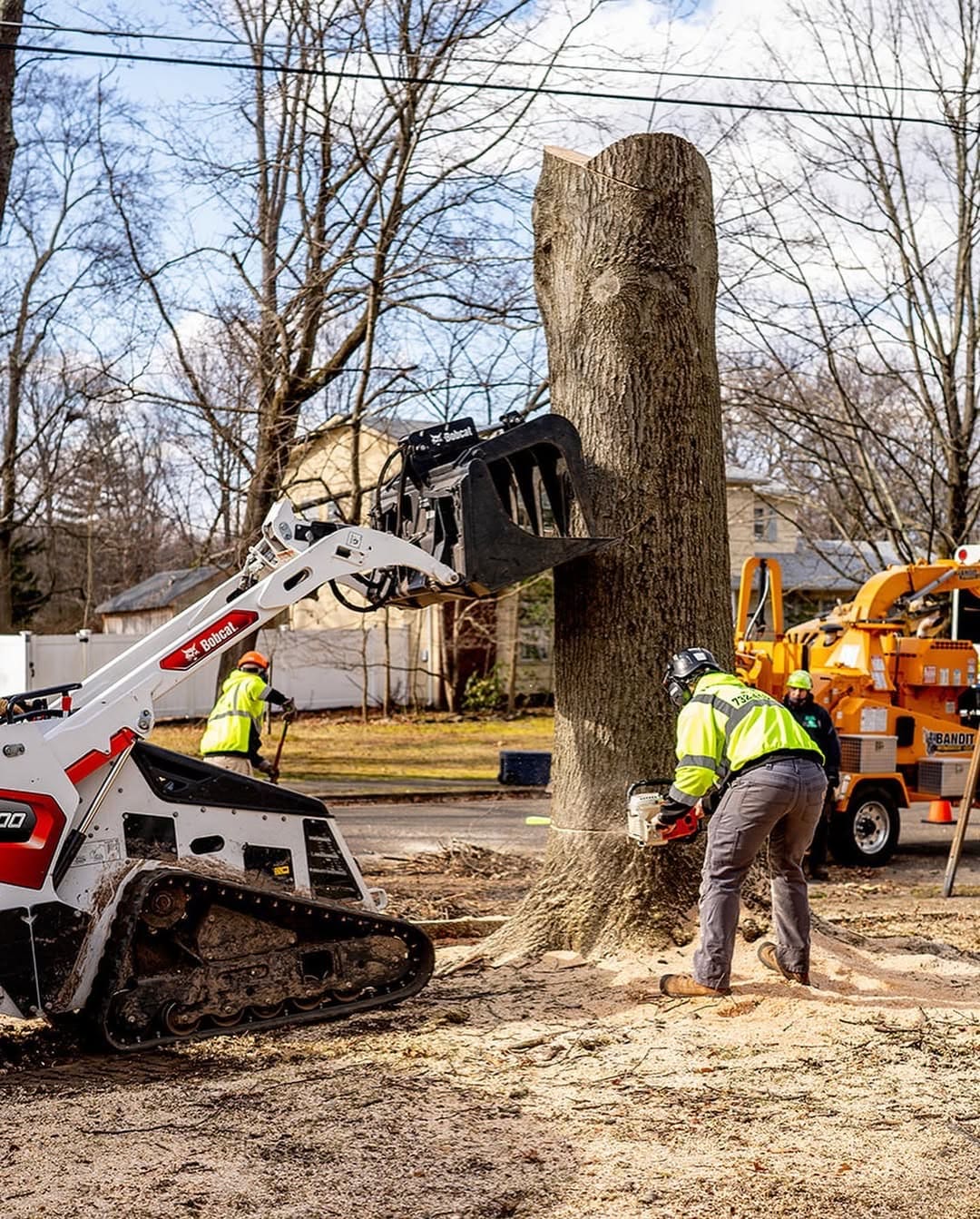 Large tree removal with sectional dismantling by Pro-Stump Tree Service