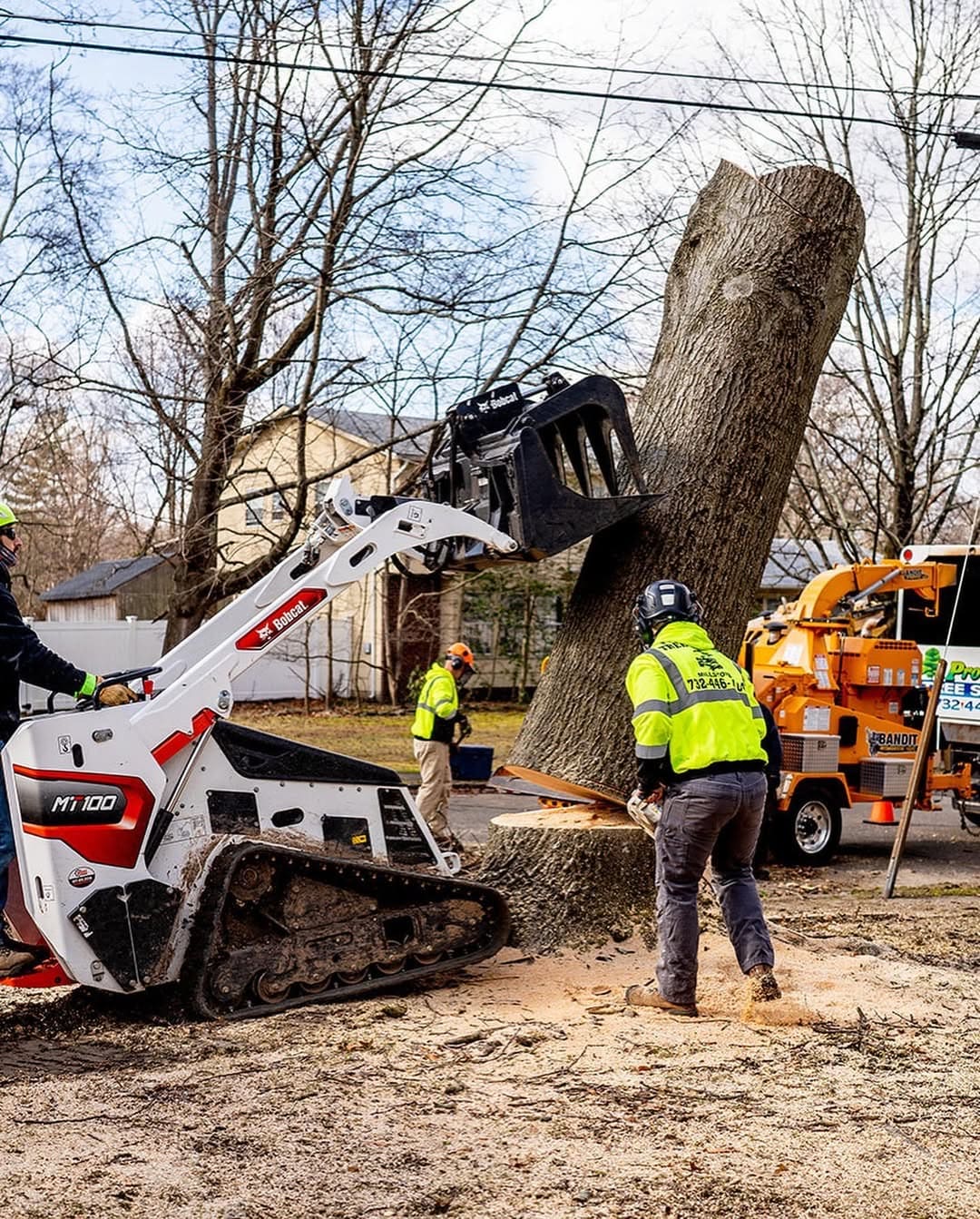 Residential tree removal in progress — Pro-Stump Tree Service NJ