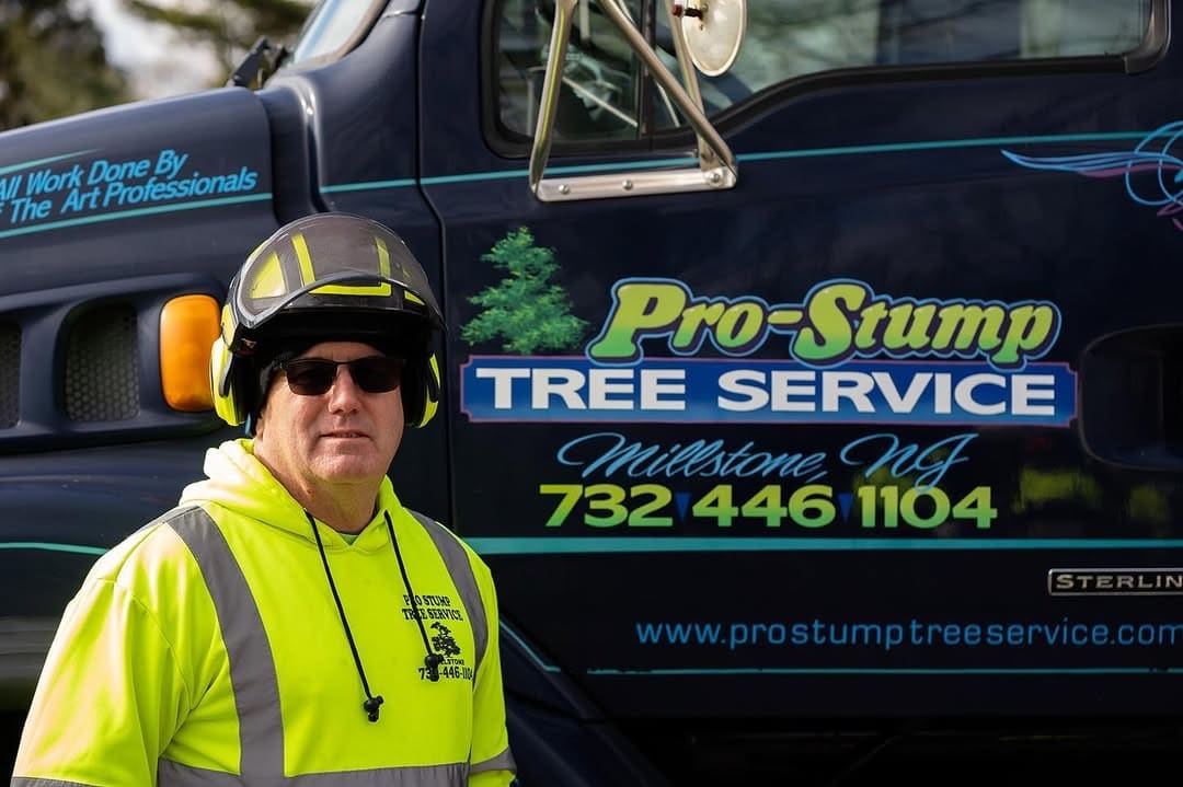 Residential Tree Service project by Pro-Stump Tree Service in Central NJ