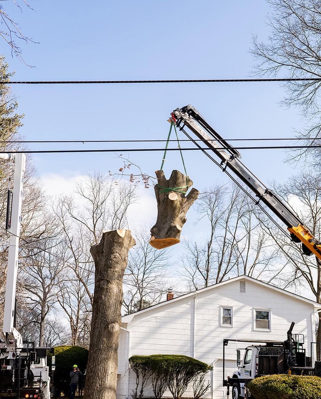 Pro-Stump Tree Service crew operating the grapple saw