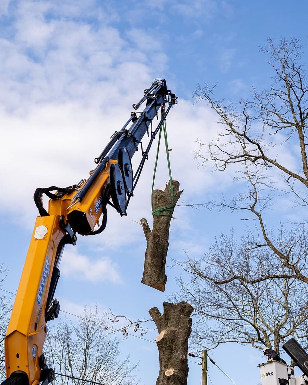 Grapple saw truck on a tree removal job by Pro-Stump Tree Service